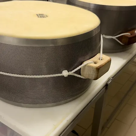 Alojamento de Acomodação e Pequeno-almoço Mentorer&b Noceto