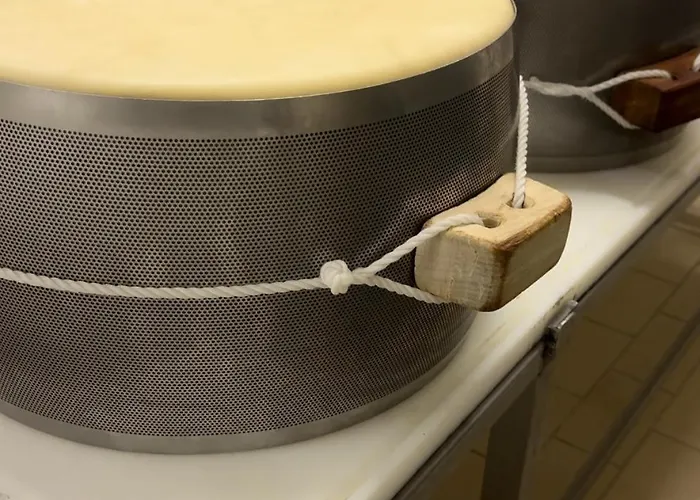 Nocleg ze śniadaniem Mentorer&b Noceto