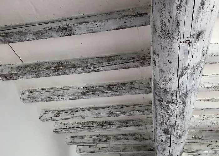 Mentorer&b Nocleg ze śniadaniem 3*