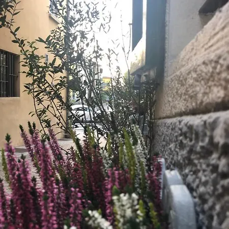 Bed & Breakfast Mentorer&b