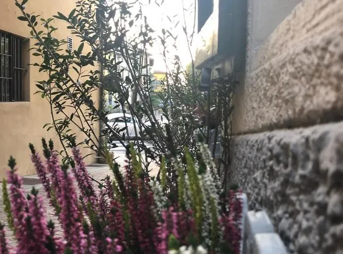 Bed & Breakfast Mentorer&b