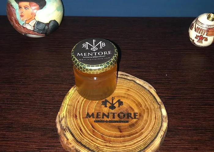 Mentorer&b Noceto